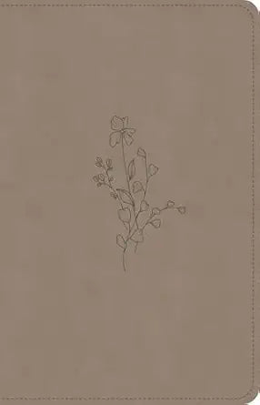 B CSB PERSONAL SIZE BIBLE DIGITAL STUDY EDITION EARTH (RED LETTER EDITION)