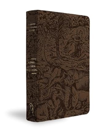 B KJV MAJESTIC ILLUMINATED BIBLE  BROWN