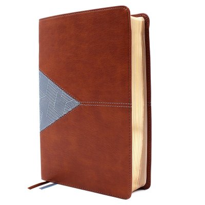 B NIV APPLICATION BIBLE PERSONAL SIZE BROWN/BLUE (RED LETTER EDITION)