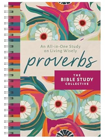 PROVERBS: AN ALL-IN-ONE STUDY ON LIVING WISELY (THE BIBLE STUDY COLLECTIVE SERIES)