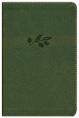 B KJV PERSONAL SIZE GIANT PRINT BIBLE OLIVE (RED LETTER EDITION)