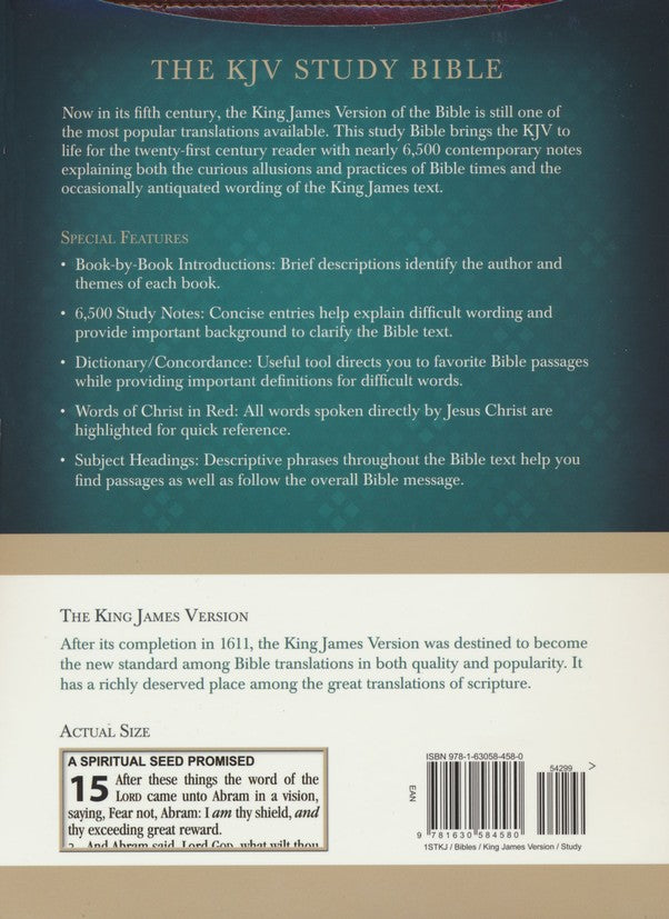 KJV STUDY BIBLE LARGE PRINT BROWN/BURGUNDY