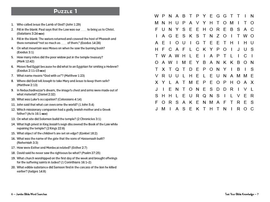JUMBO BIBLE WORD SEARCHES: 202 PUZZLES WITH A TRIVIA TWIST