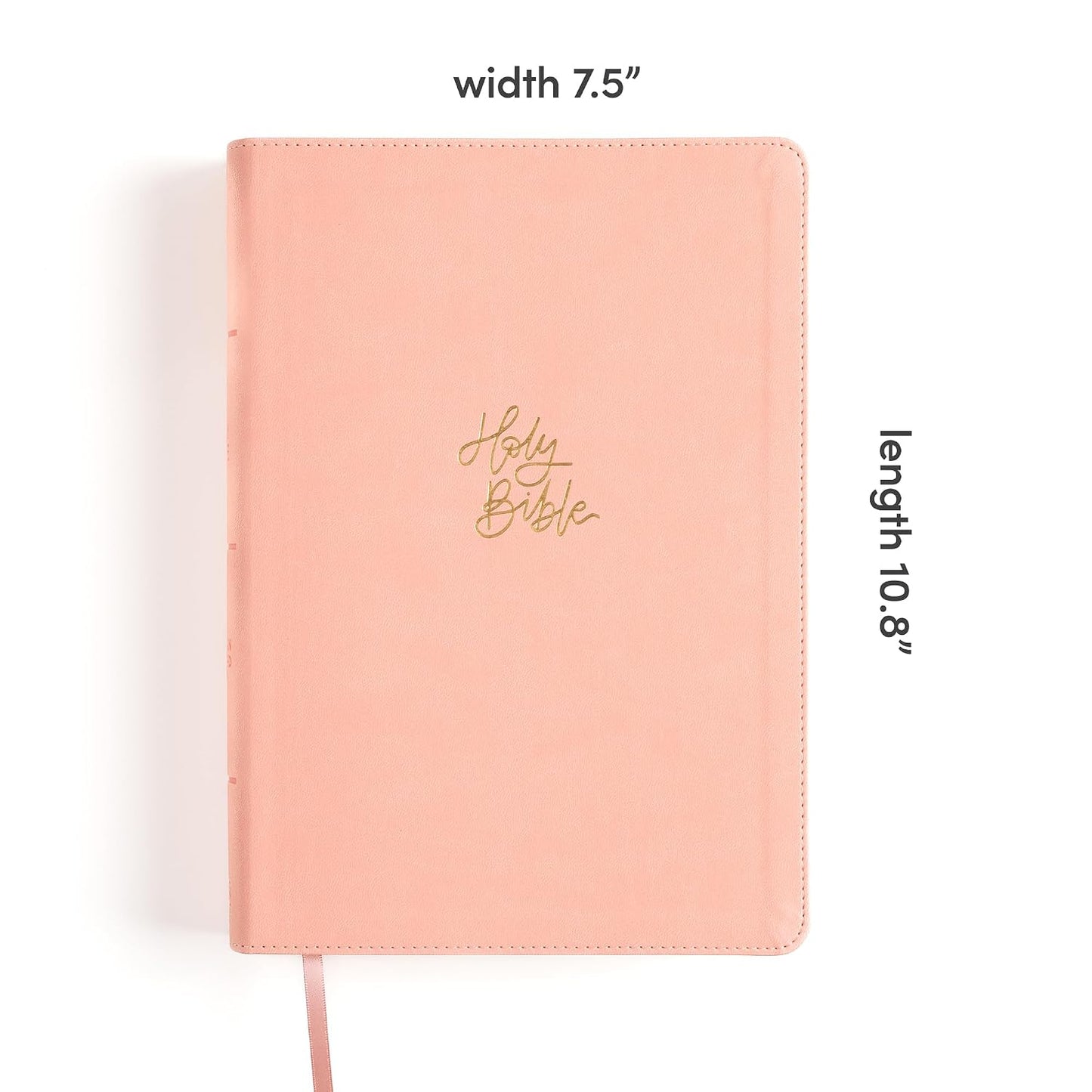 B CSB SUPER GIANT PRINT REFERENCE BIBLE DIGITAL STUDY EDITION PINK INDEXED (RED LETTER EDITION)