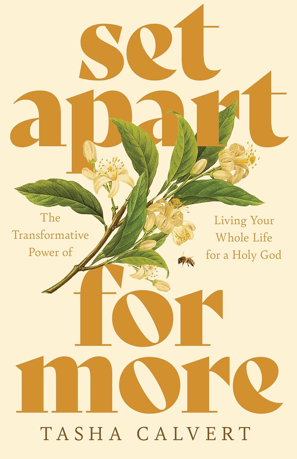 SET APART FOR MORE: THE TRANSFORMATIVE POWER OF LIVING YOUR WHOLE LIFE FOR A HOLY GOD