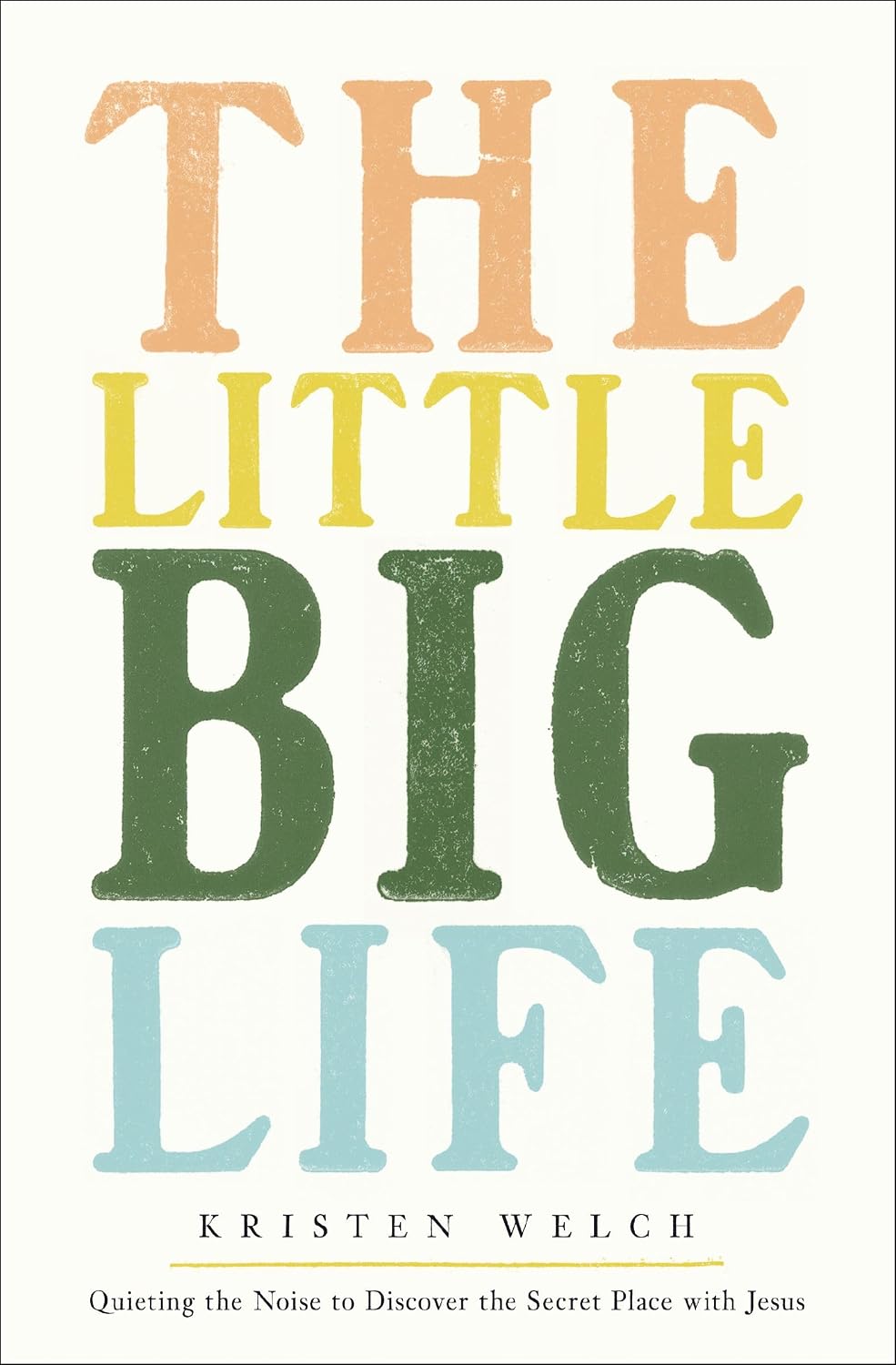 THE LITTLE BIG LIFE: QUIETING THE NOISE TO DISCOVER THE SECRET PLACE WITH JESUS