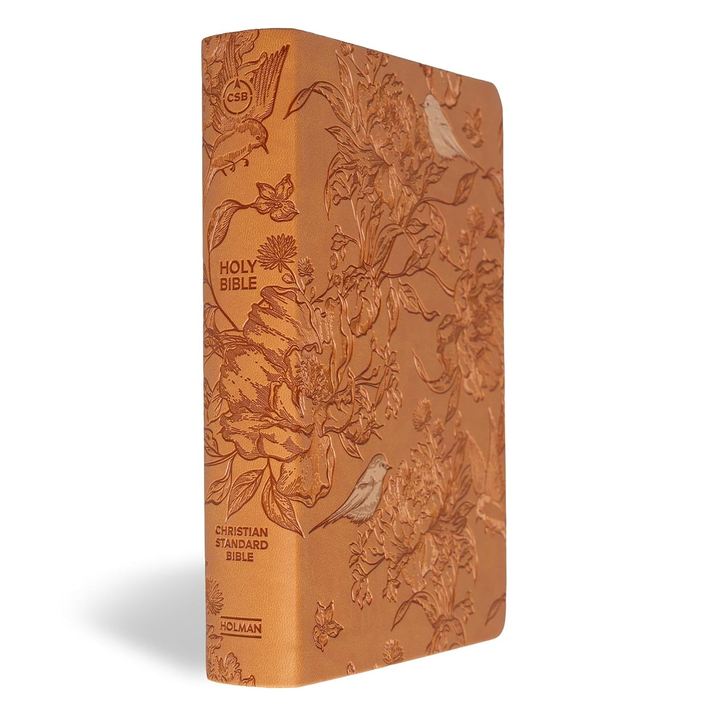 B CSB LARGE PRINT PERSONAL SIZE REFERENCE BIBLE DIGITAL STUDY EDITION BROWN (RED LETTER EDITION)