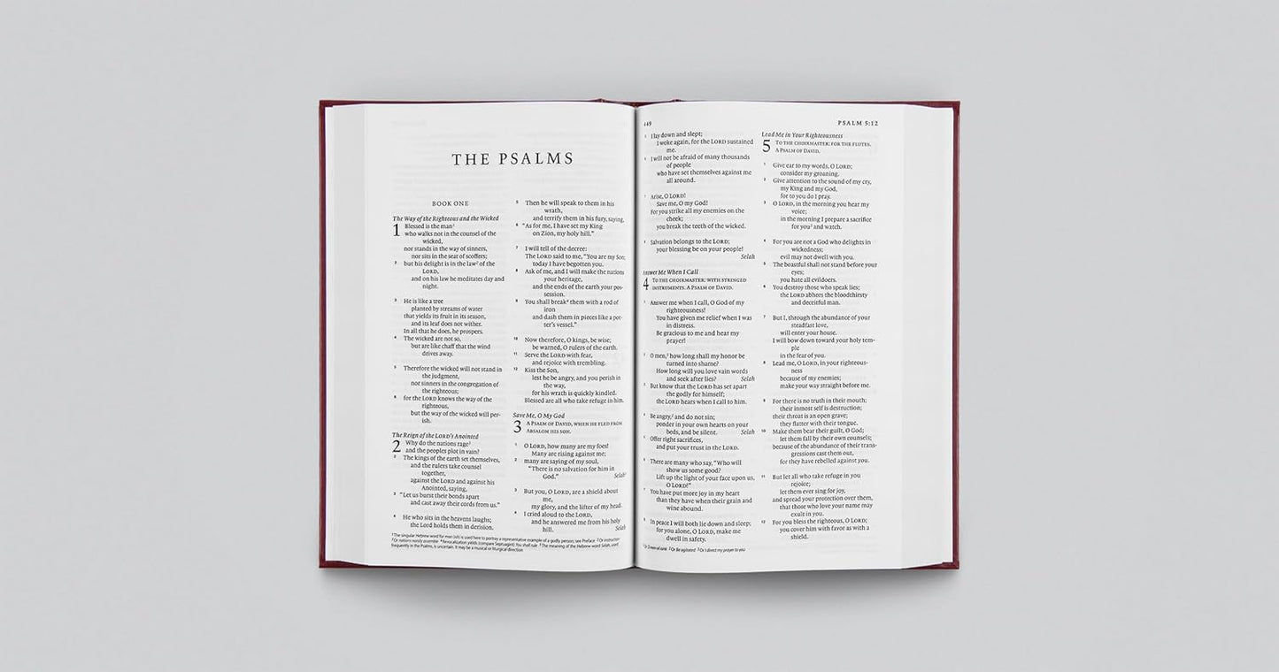 ESV PEW BIBLE BURGUNDY (BLACK LETTER EDITION)
