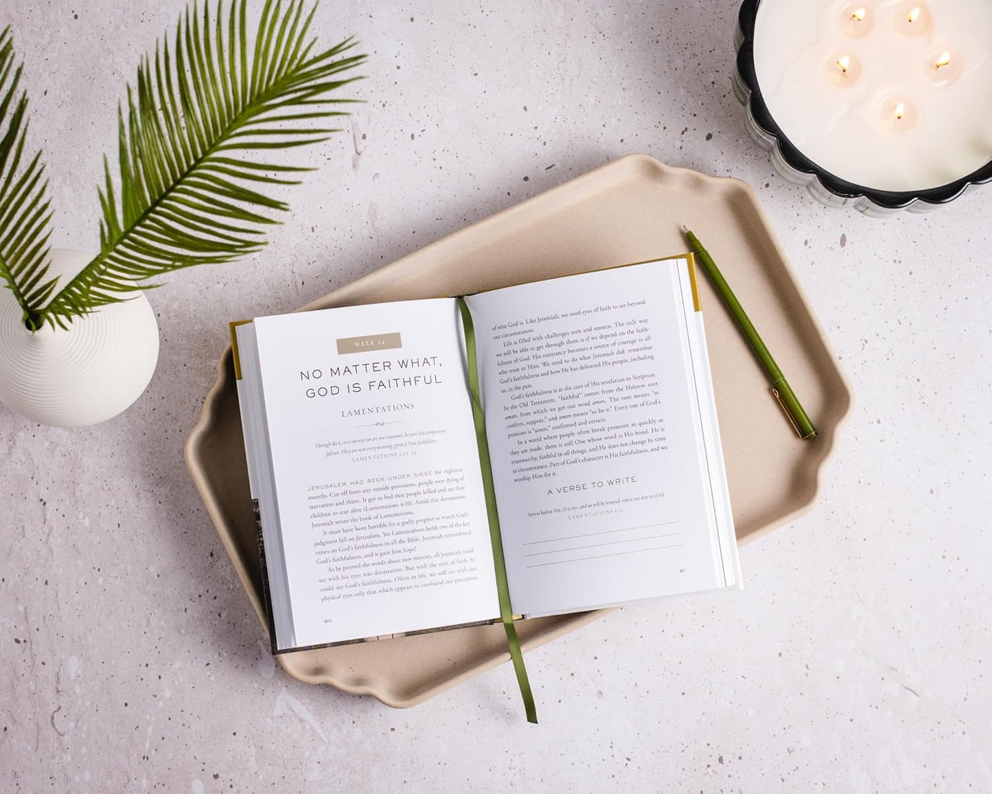 THE WHOLE STORY: A 52-WEEK DEVOTIONAL JOURNEY THROUGH EVERY BOOK OF THE BIBLE