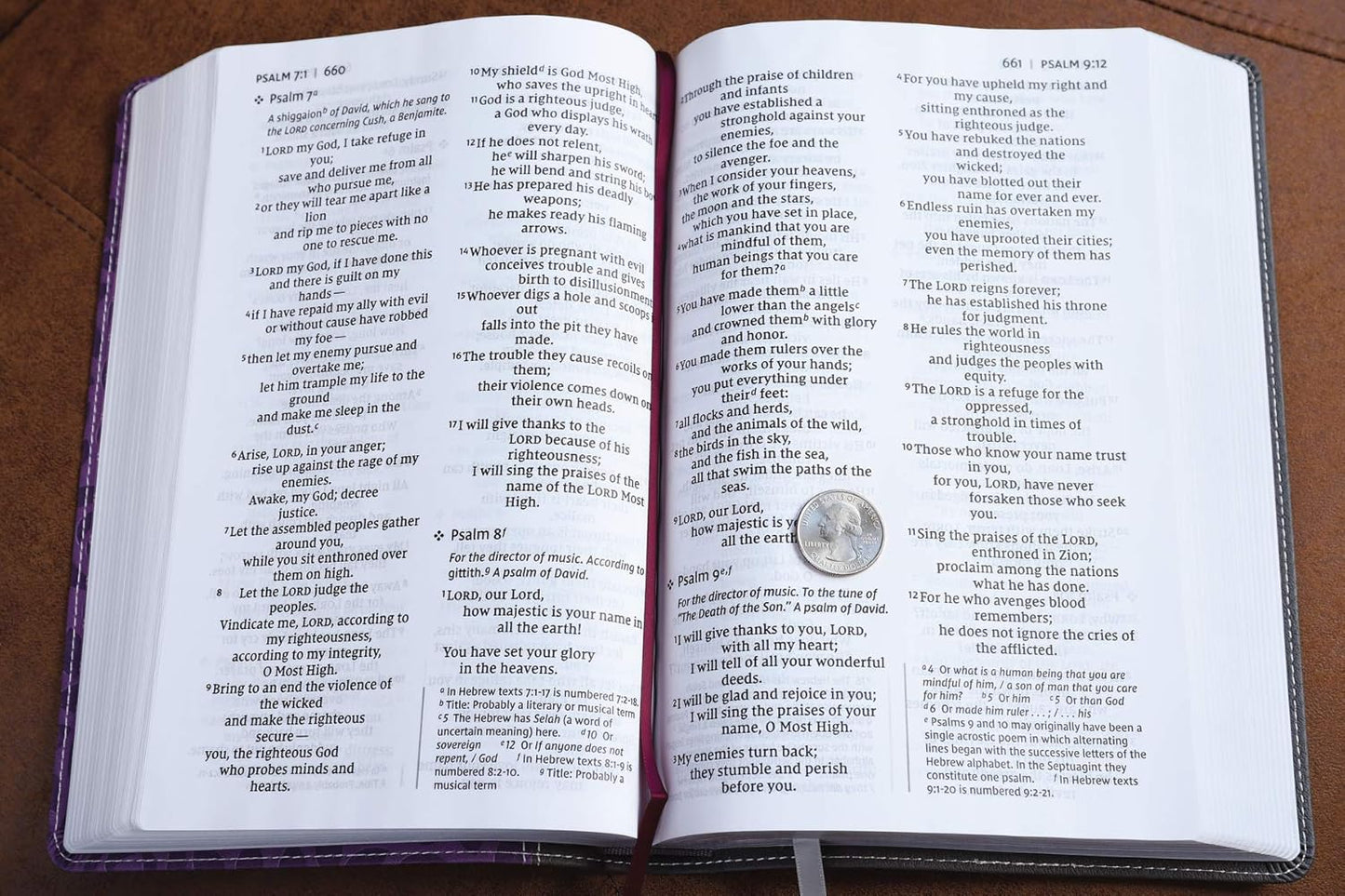 NIV THINLINE BIBLE GIANT PRINT GRAY/PURPLE (RED LETTER EDITION)