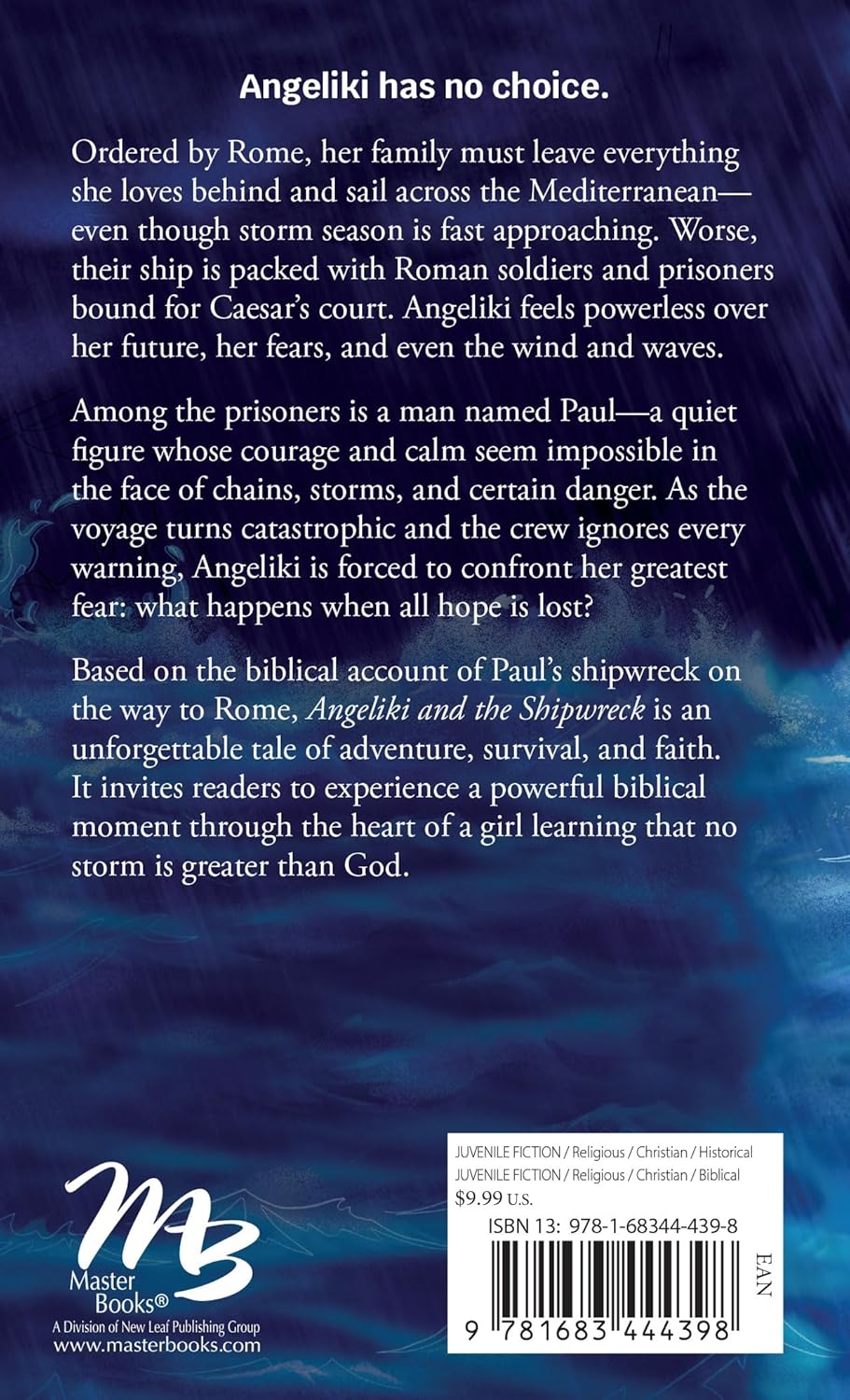 ANGELIKI AND THE SHIPWRECK (#01 IN THE WITNESS SERIES)