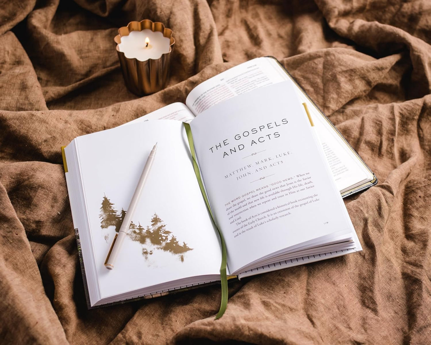 THE WHOLE STORY: A 52-WEEK DEVOTIONAL JOURNEY THROUGH EVERY BOOK OF THE BIBLE
