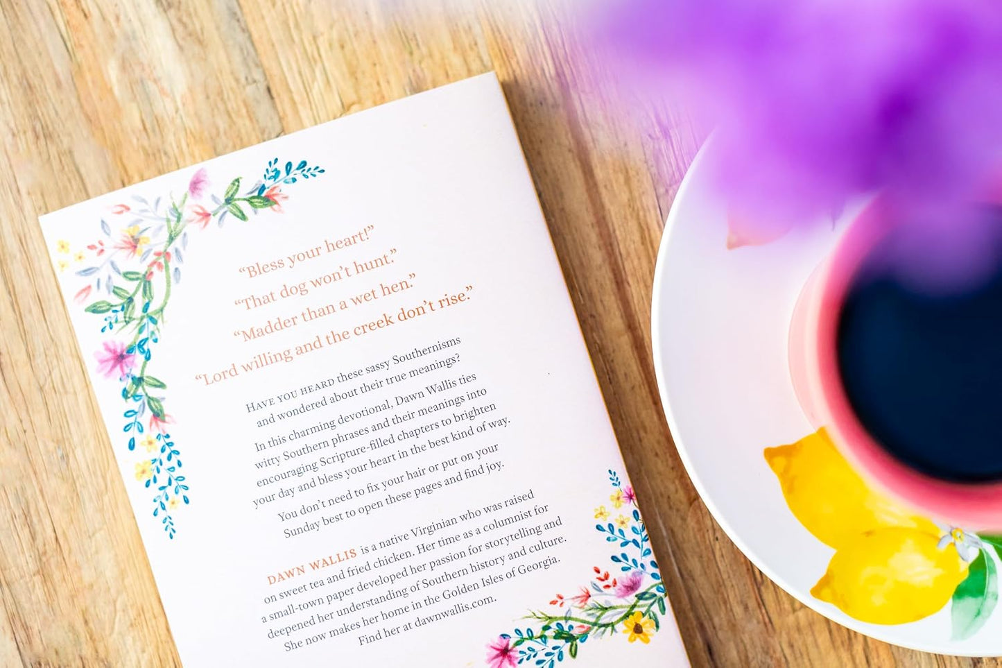 SOUTHERN SUNSHINE: 90 DEVOTIONS TO BRIGHTEN YOUR DAY AND BLESS YOUR HEART