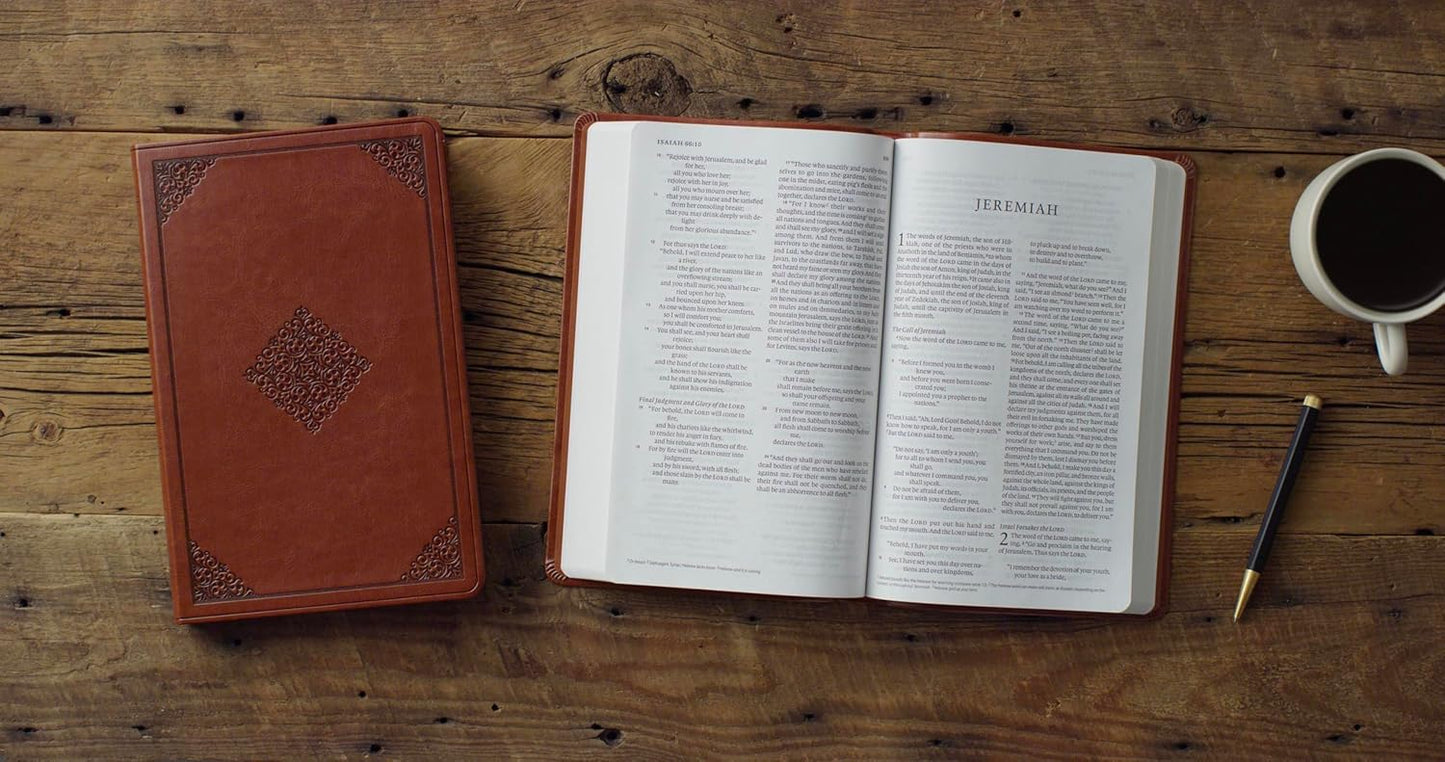B ESV LARGE PRINT VALUE THINLINE BIBLE TAN ORNAMENT DESIGN