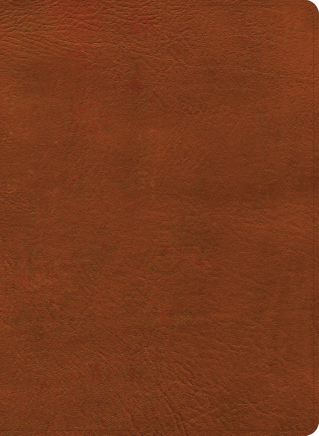 B NASB STUDY BIBLE BURNT SIENNA INDEXED (BLACK LETTER EDITION)