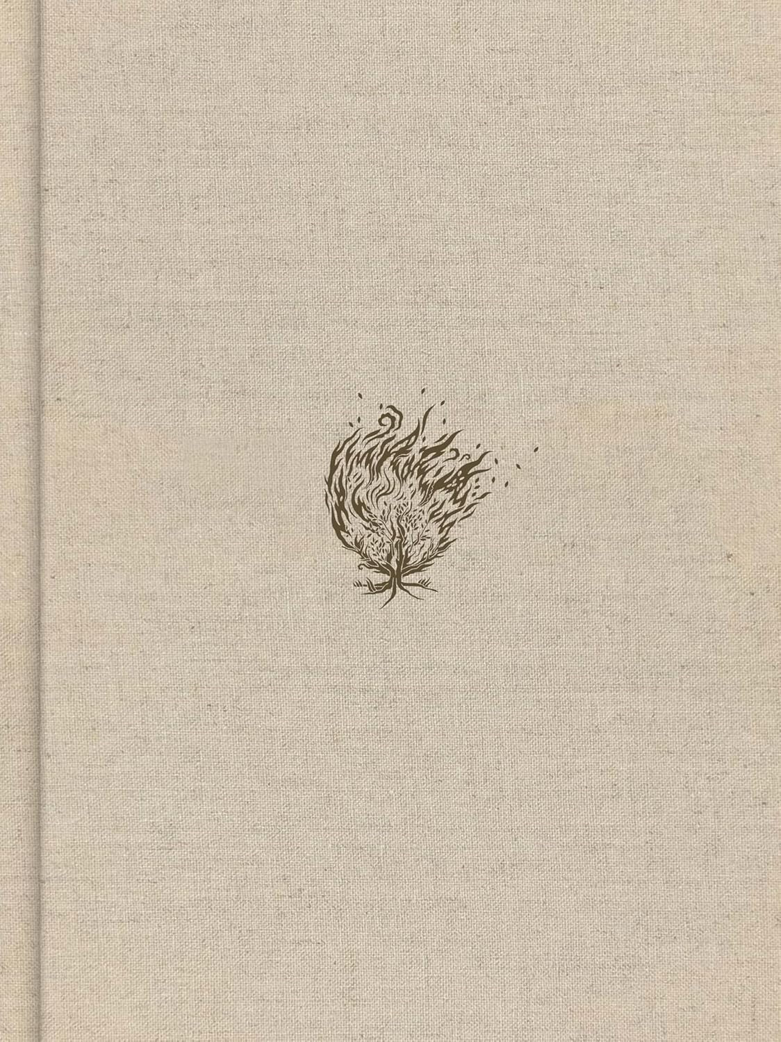 B CSB EXPERIENCING GOD BIBLE CREAM INDEXED (RED LETTER EDITION)