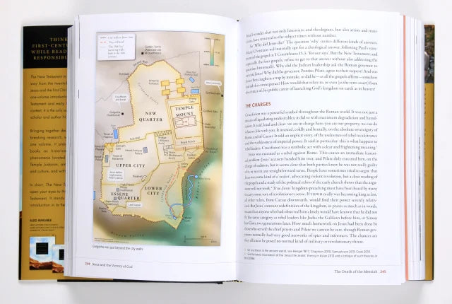 NEW TESTAMENT IN ITS WORLD: AN INTRODUCTION TO THE HISTORY LITERATURE AND THEOLOGY OF THE FIRST CHRISTIANS