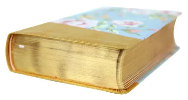 NIV TRUE IMAGES BIBLE FOR TEEN GIRLS BLUE/GOLD (BLACK LETTER EDITION)