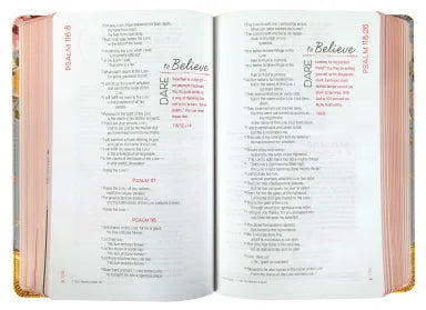 NIV TRUE IMAGES BIBLE FOR TEEN GIRLS BLUE/GOLD (BLACK LETTER EDITION)