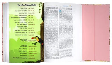 B NIV ADVENTURE BIBLE WITH PINK MAGNETIC CLOSURE