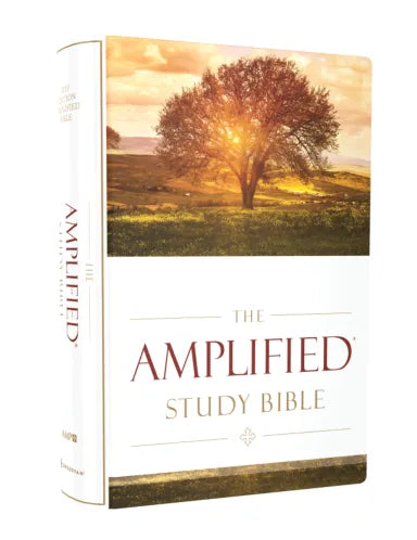 B AMPLIFIED STUDY BIBLE (BLACK LETTER EDITION)