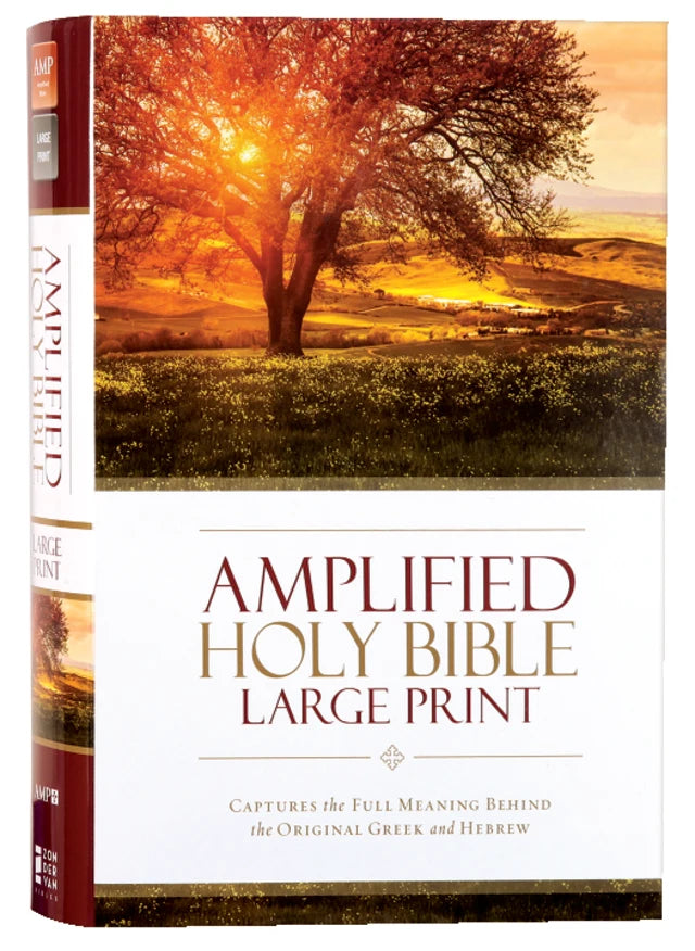 B AMPLIFIED HOLY BIBLE LARGE PRINT (BLACK LETTER EDITION)