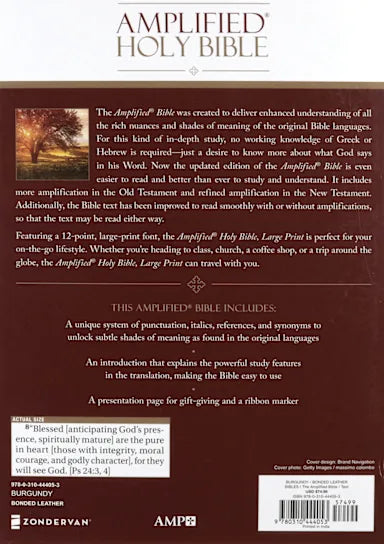 B AMPLIFIED HOLY BIBLE LARGE PRINT BURGUNDY (BLACK LETTER EDITION)