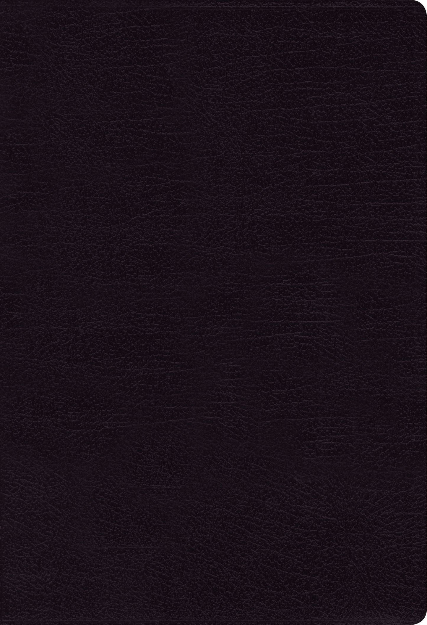 NIV THINLINE BIBLE LARGE PRINT BLACK (RED LETTER EDITION)