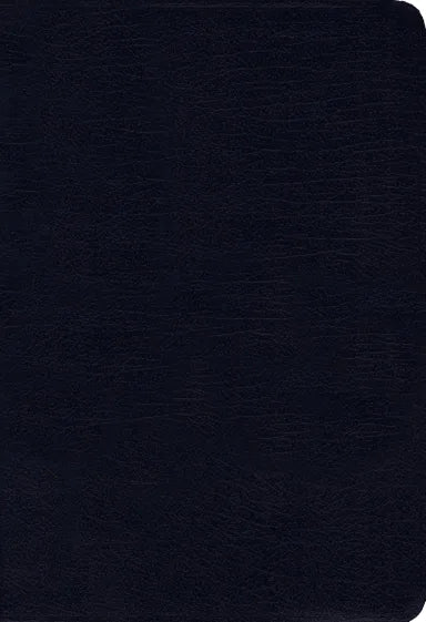 B NIV THINLINE BIBLE NAVY INDEXED (RED LETTER EDITION)