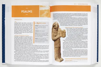 B NIV STUDY BIBLE LARGE PRINT (RED LETTER EDITION) FULLY REVISED EDITION (2020)
