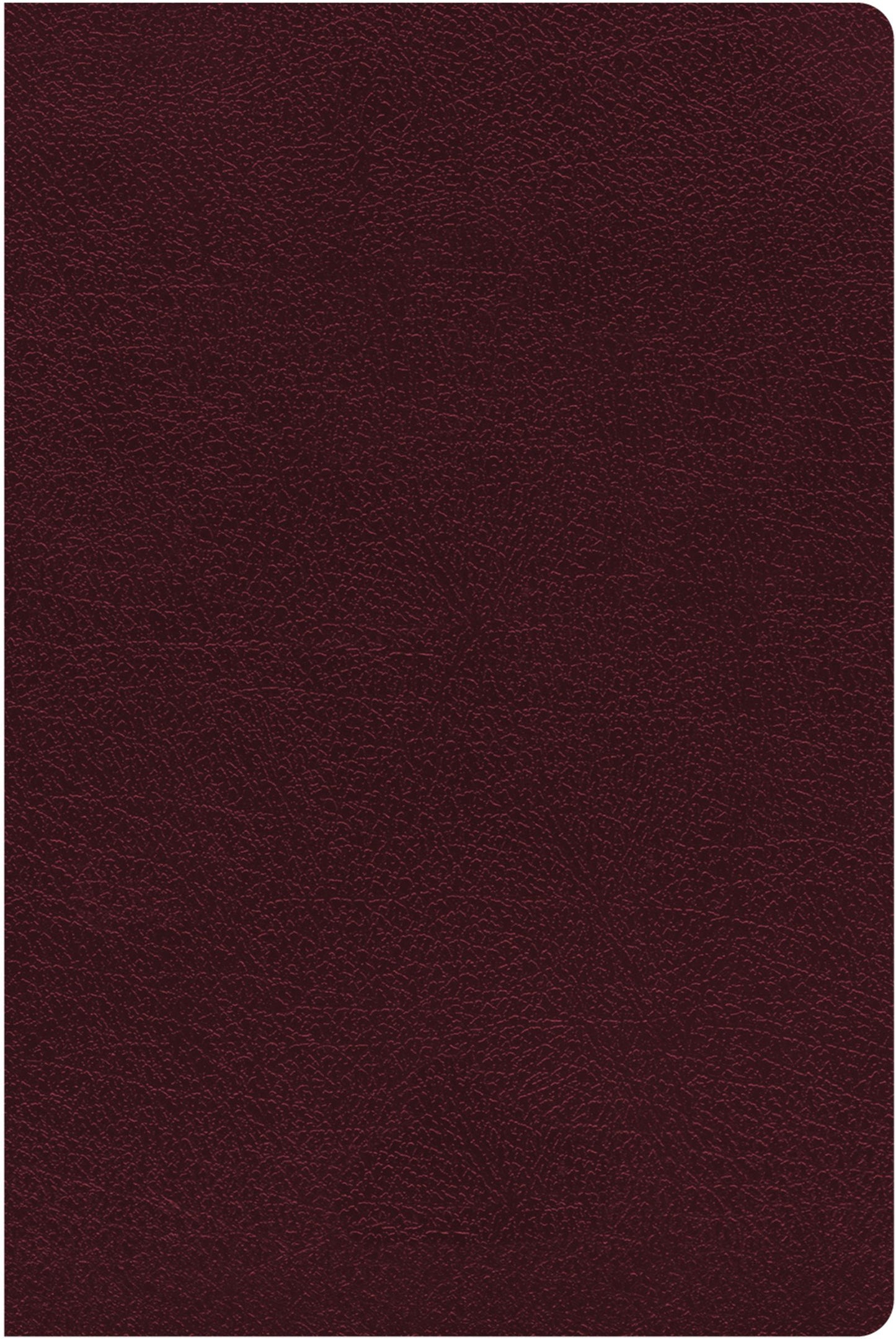 B NIV THINLINE REFERENCE BIBLE BURGUNDY (RED LETTER EDITION)