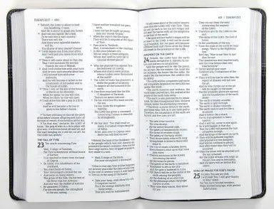 B NASB THINLINE BIBLE BLACK/GREY 1995 TEXT (RED LETTER EDITION)