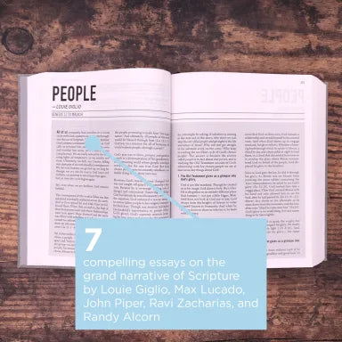 B NIV THE JESUS BIBLE GRAY LINEN (BLACK LETTER EDITION) COMFORT PRINT EDITION