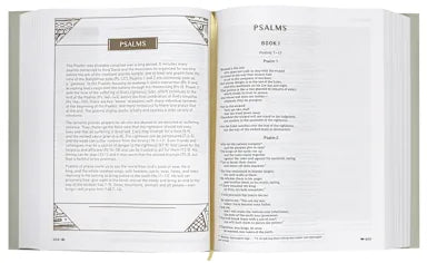B NIV UPSIDE-DOWN KINGDOM BIBLE GRAY