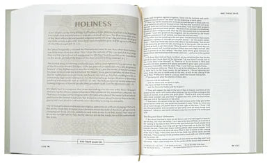 B NIV UPSIDE-DOWN KINGDOM BIBLE GRAY