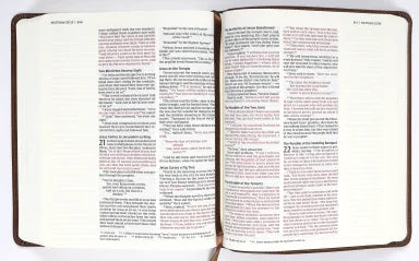 NIV JOURNAL THE WORD BIBLE BROWN DOUBLE COLUMN (RED LETTER EDITION)