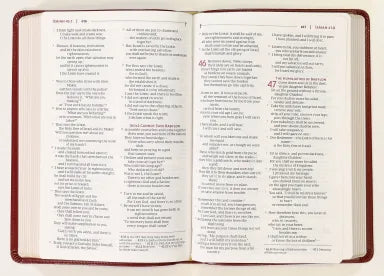 B NRSVUE HOLY BIBLE BURGUNDY