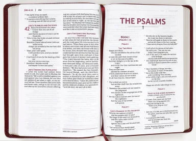 B NRSVUE HOLY BIBLE BURGUNDY