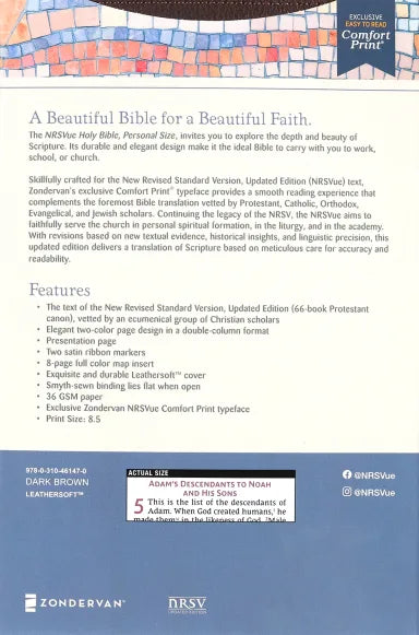 B NRSVUE HOLY BIBLE PERSONAL SIZE BROWN