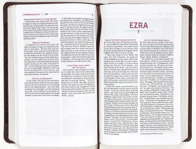 B NRSVUE HOLY BIBLE PERSONAL SIZE BROWN