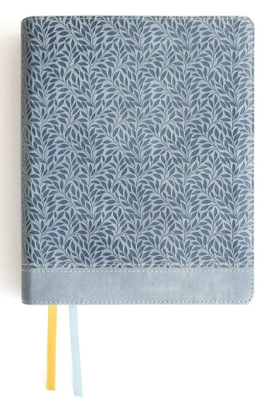 B NIV JOURNAL THE WORD BIBLE LARGE PRINT TEAL (RED LETTER EDITION)
