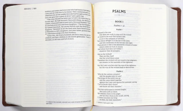 NIV JOURNAL THE WORD BIBLE LARGE PRINT BROWN (RED LETTER EDITION)