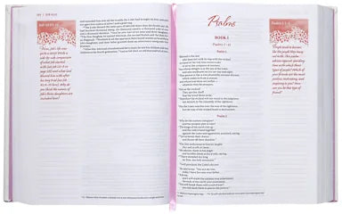 NIV JOURNAL THE WORD BIBLE FOR TEEN GIRLS LAVENDER/WHITE (RED LETTER EDITION)