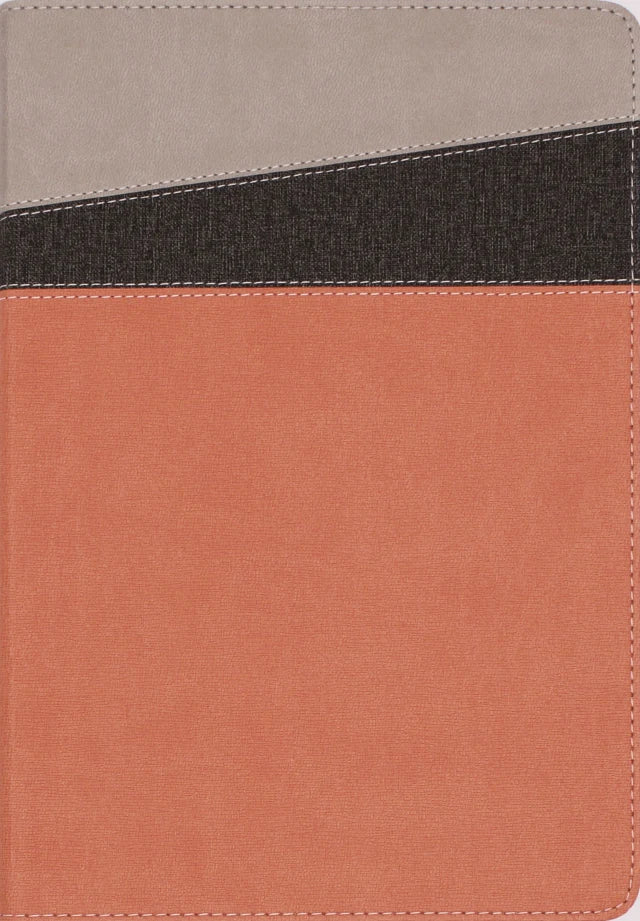 B NIV APPLICATION BIBLE CORAL/GRAY (RED LETTER EDITION)