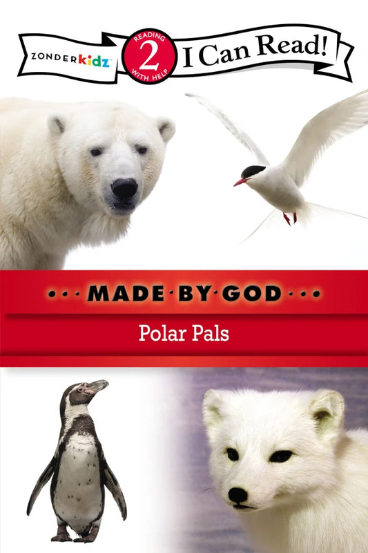 ICR2MBG: POLAR PALS