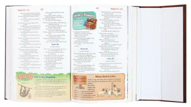 B NIRV ADVENTURE BIBLE FOR EARLY READERS WITH LION MAGNETIC CLOSURE (BLACK LETTER)