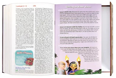 B NIRV ADVENTURE BIBLE FOR EARLY READERS WITH LION MAGNETIC CLOSURE (BLACK LETTER)