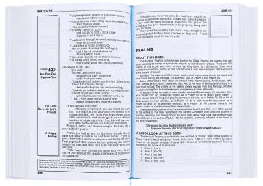B CEV THE HOLY BIBLE IN CONTEMPORARY ENGLISH