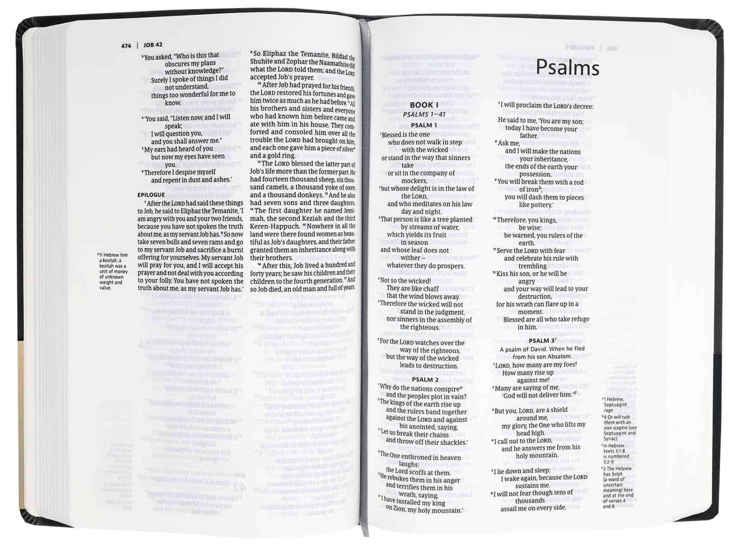 B NIV SLIMLINE BIBLE CHARCOAL (BLACK LETTER EDITION)(ANGLICISED TEXT)