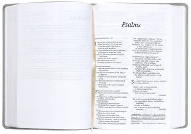 NLT READ THIS BIBLE MARL GREY (ANGLICISED)